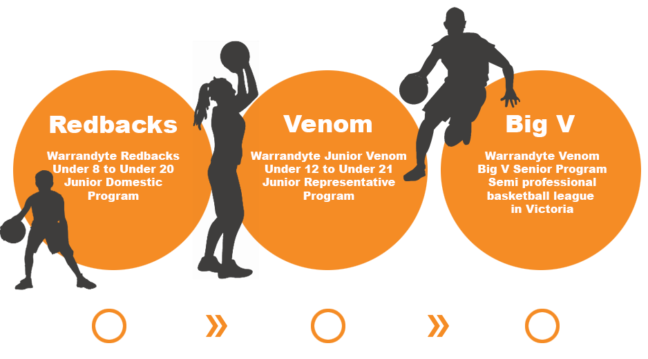 Player's pathway from Redbacks - junior domestic competition to Venom Junior Rep program to Venom Big V semi-professional competition.